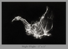 Night Flight